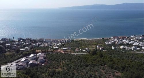 Arsa-Villa İmarlı