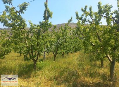 Arsa-Depo, Antrepo İzinli