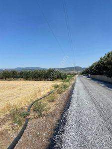 Arsa-Tarla