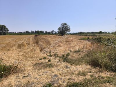 Arsa-Tarla