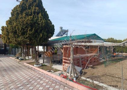 Arsa-Tarla