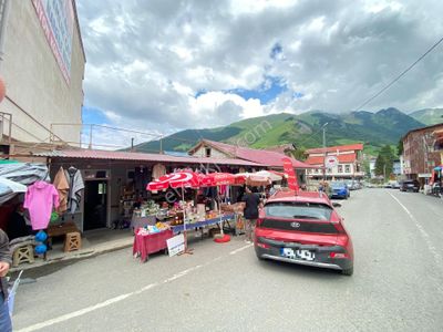 Arsa-Arazi
