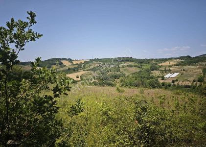Arsa-Tarla