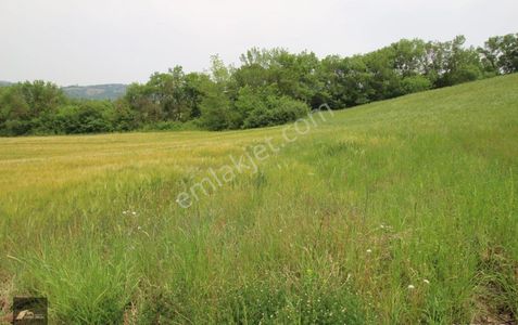 Arsa-Tarla