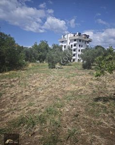 Arsa-Konut İmarlı