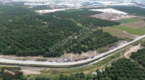 Arsa-Depo, Antrepo İzinli