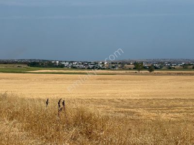Arsa-Tarla