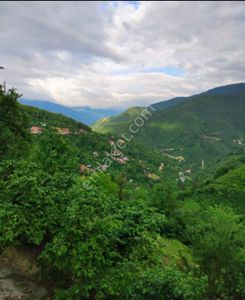 Arsa-Tarla