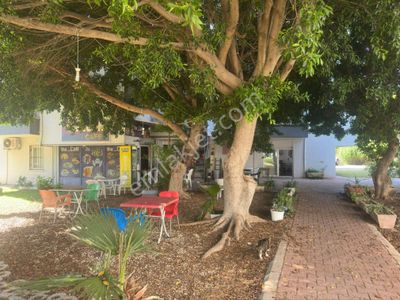 İşyeri-Restaurant