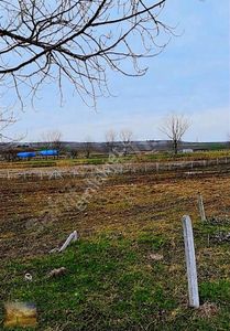 Arsa-Tarla
