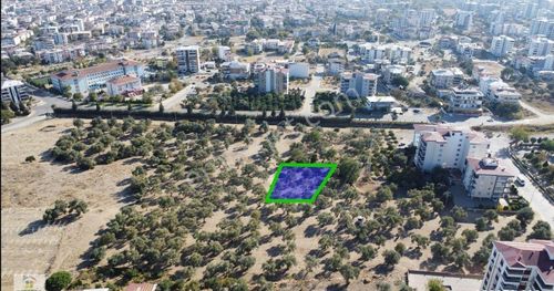 Arsa-Konut İmarlı
