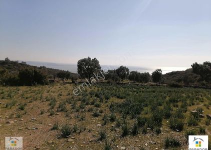 Arsa-Tarla