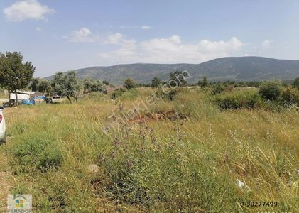 Arsa-Konut İmarlı