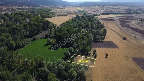 Arsa-Tarla