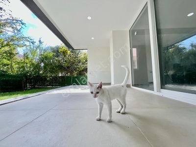 Konut-Villa
