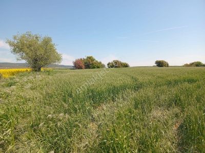 Arsa-Tarla