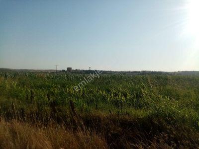 Arsa-Tarla