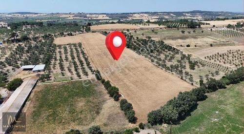Arsa-Tarla