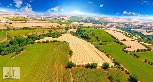 Arsa-Tarla