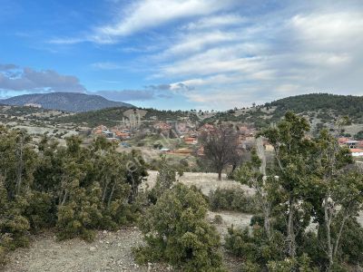 Arsa-Tarla