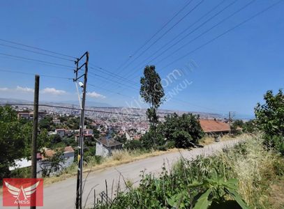 Arsa-Konut İmarlı