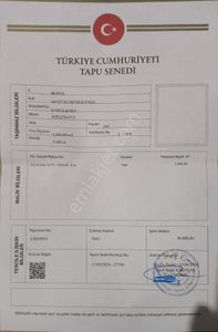 Arsa-Tarla