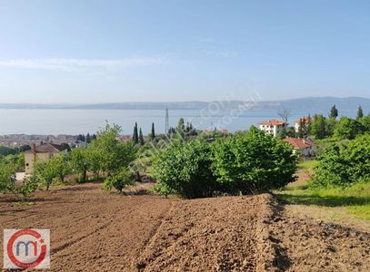 Arsa-Konut İmarlı