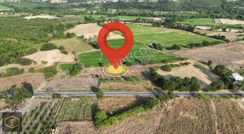 Arsa-Tarla