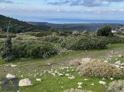 Arsa-Villa İmarlı