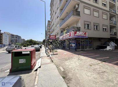 İşyeri-Dükkan & Mağaza