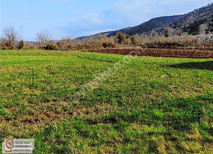Arsa-Bağ & Bahçe