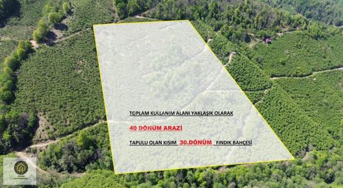 Arsa-Bağ & Bahçe