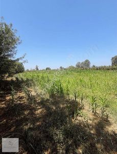 Arsa-Ticari İmarlı