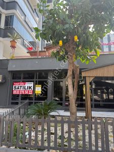 İşyeri-Ofis