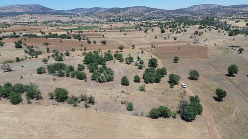 Arsa-Tarla