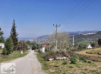 Arsa-Konut İmarlı