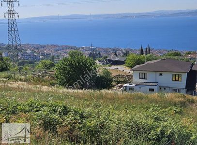 Arsa-Konut İmarlı