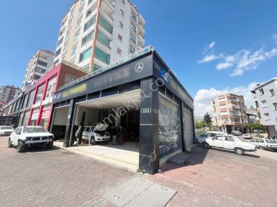İşyeri-Dükkan & Mağaza