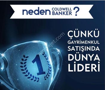 İşyeri-Dükkan & Mağaza