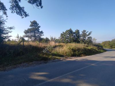 Arsa-Turizm İmarlı