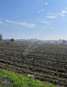 Arsa-Tarla
