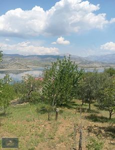 Arsa-Tarla