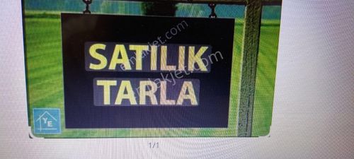 Arsa-Tarla