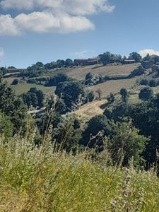Arsa-Tarla
