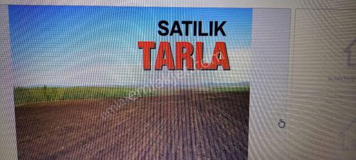 Arsa-Tarla