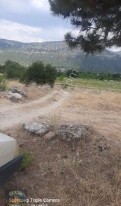 Arsa-Tarla