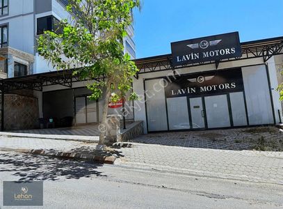 İşyeri-Dükkan & Mağaza