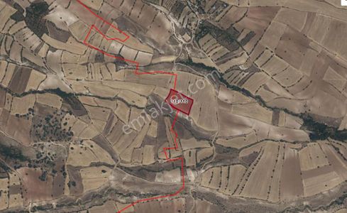Arsa-Tarla