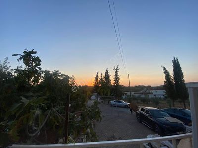 Arsa-Bağ & Bahçe