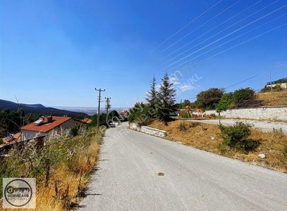 Arsa-Bağ & Bahçe
